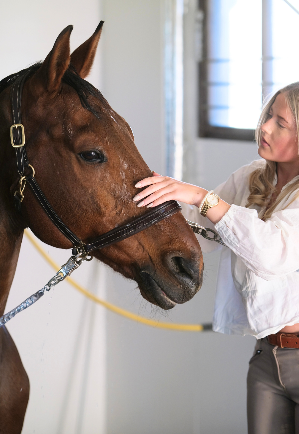 time to shine collection