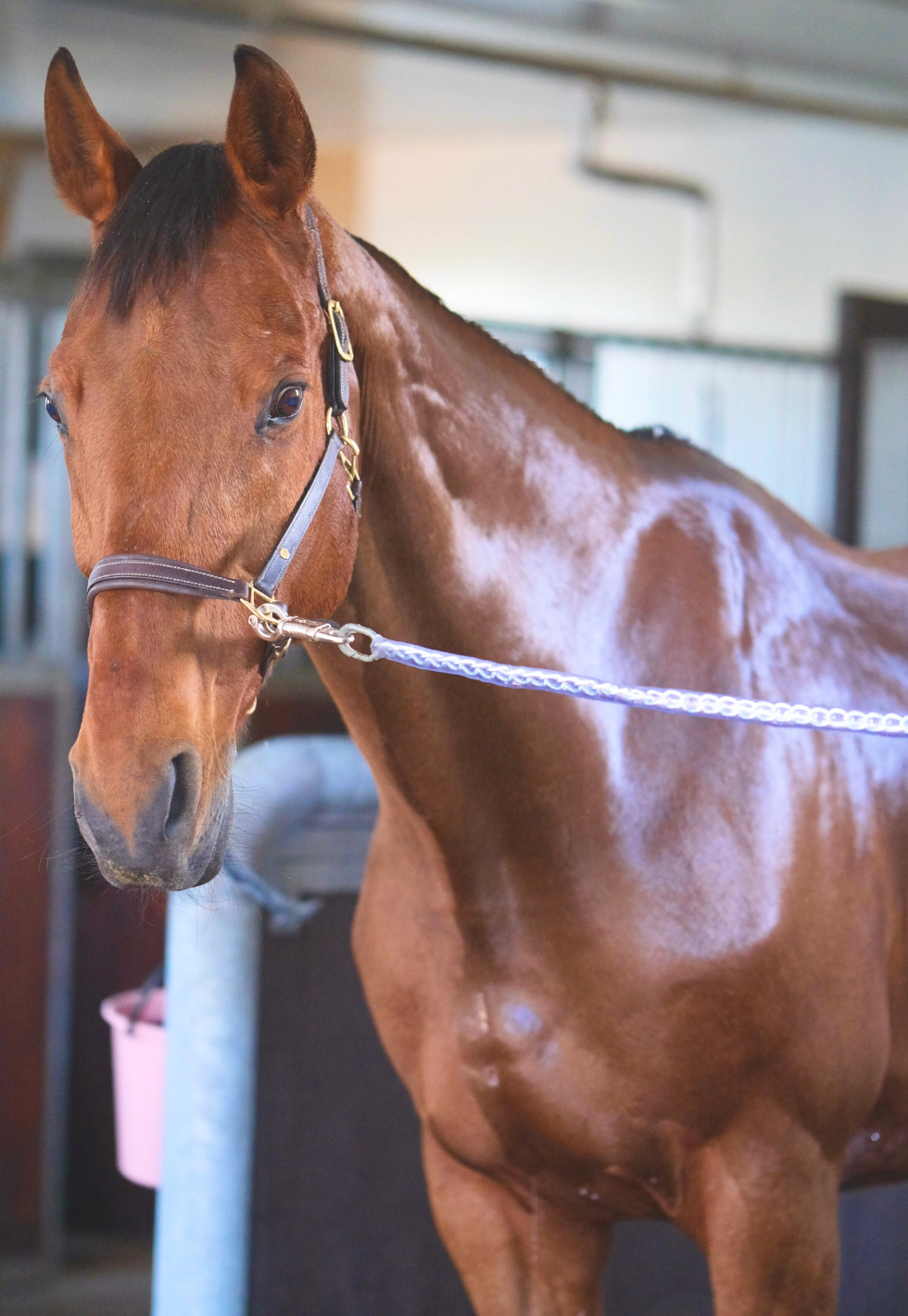 time to shine collection