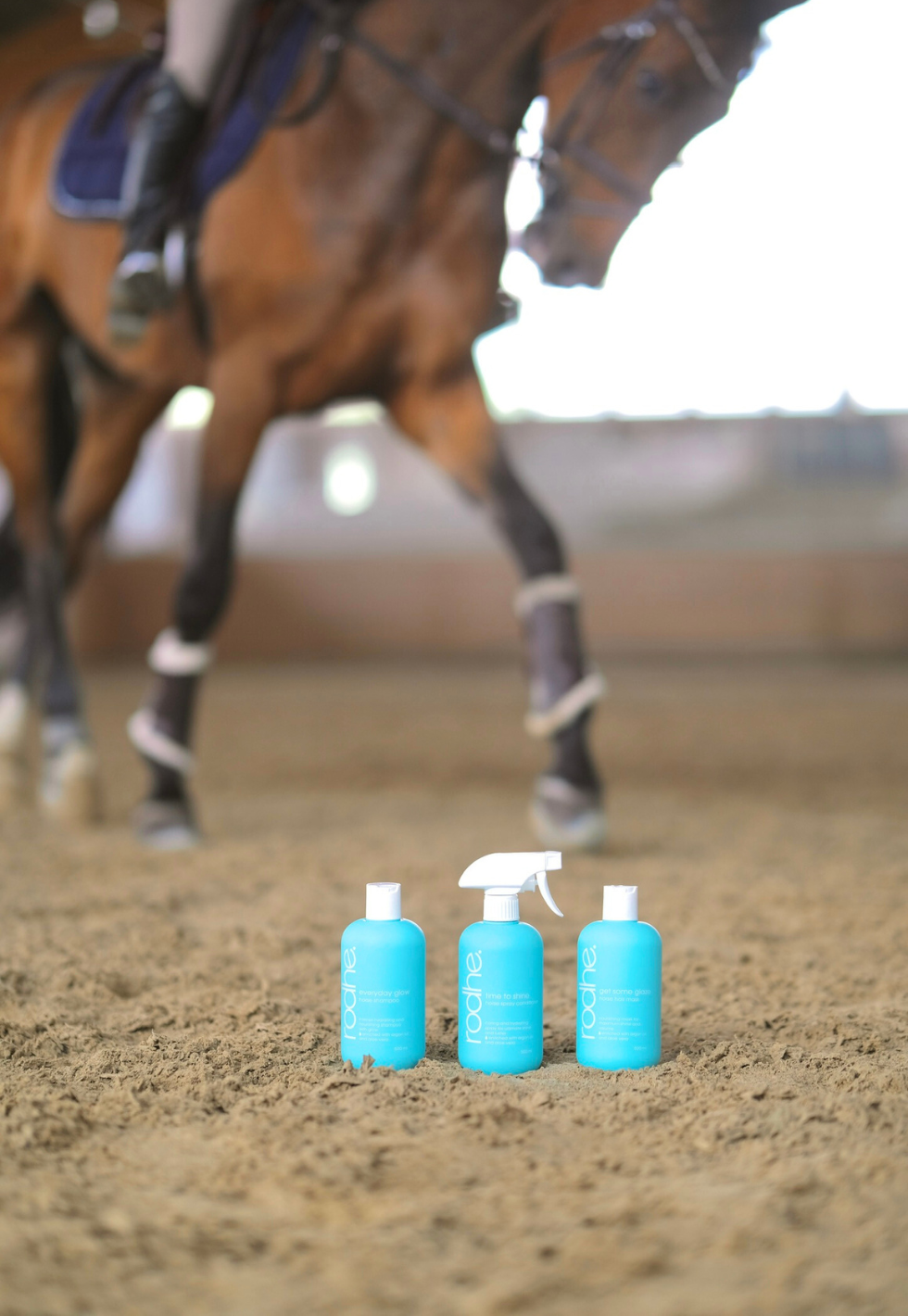 time to shine collection