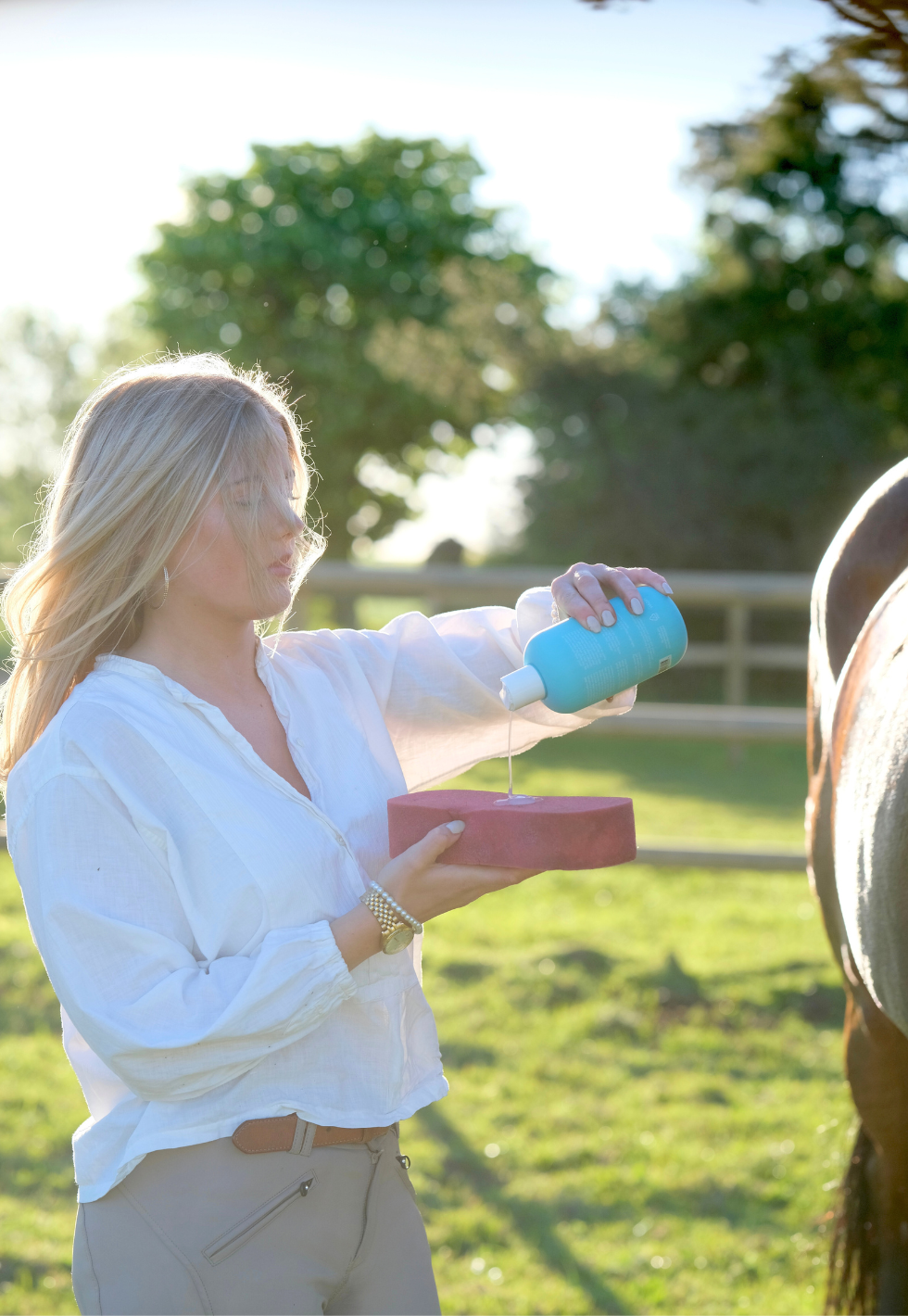 time to shine collection