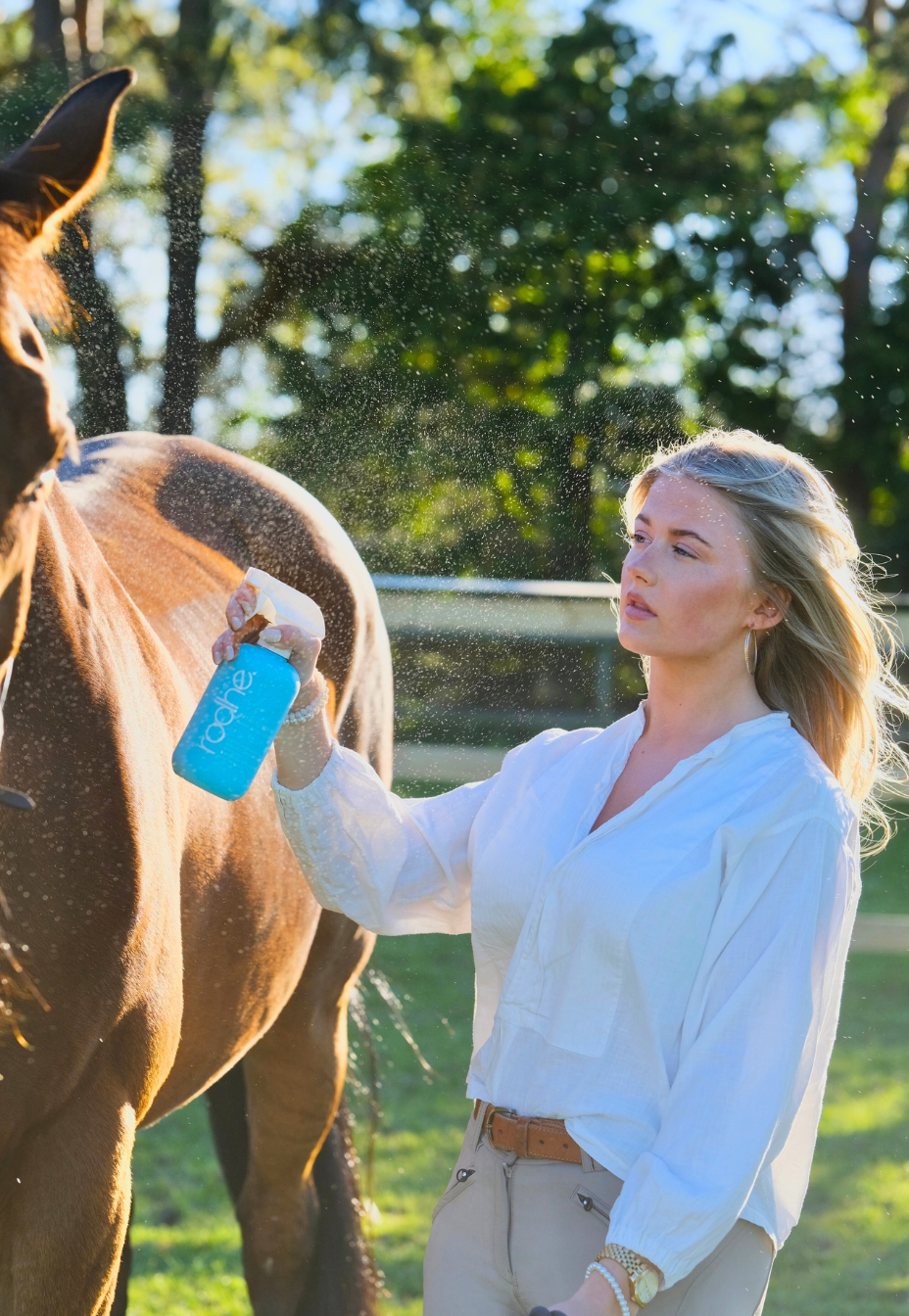time to shine spray conditioner