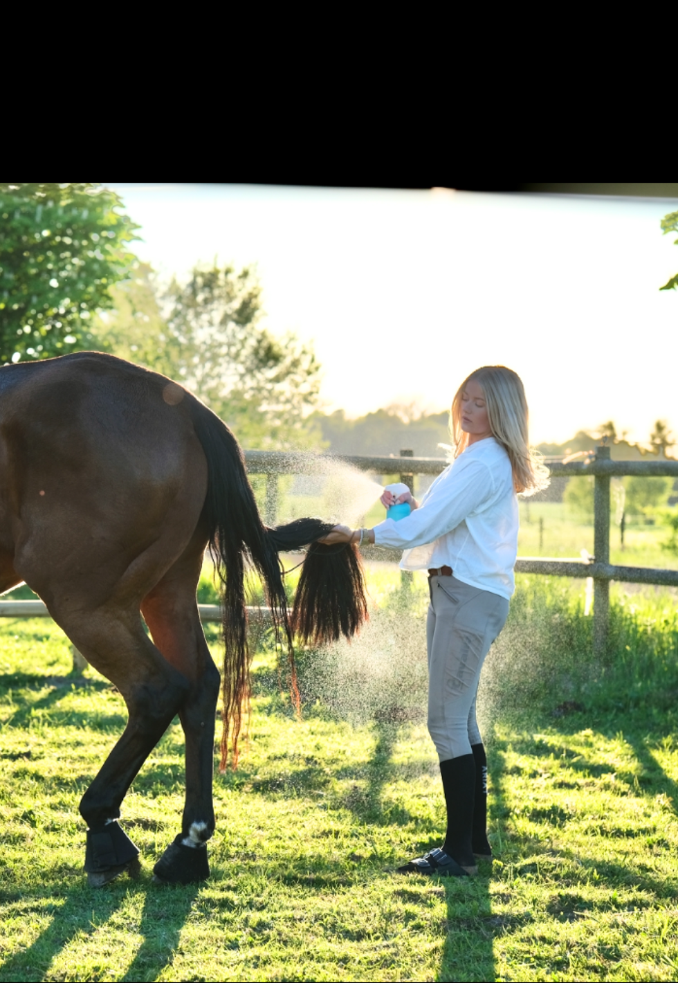 time to shine spray conditioner