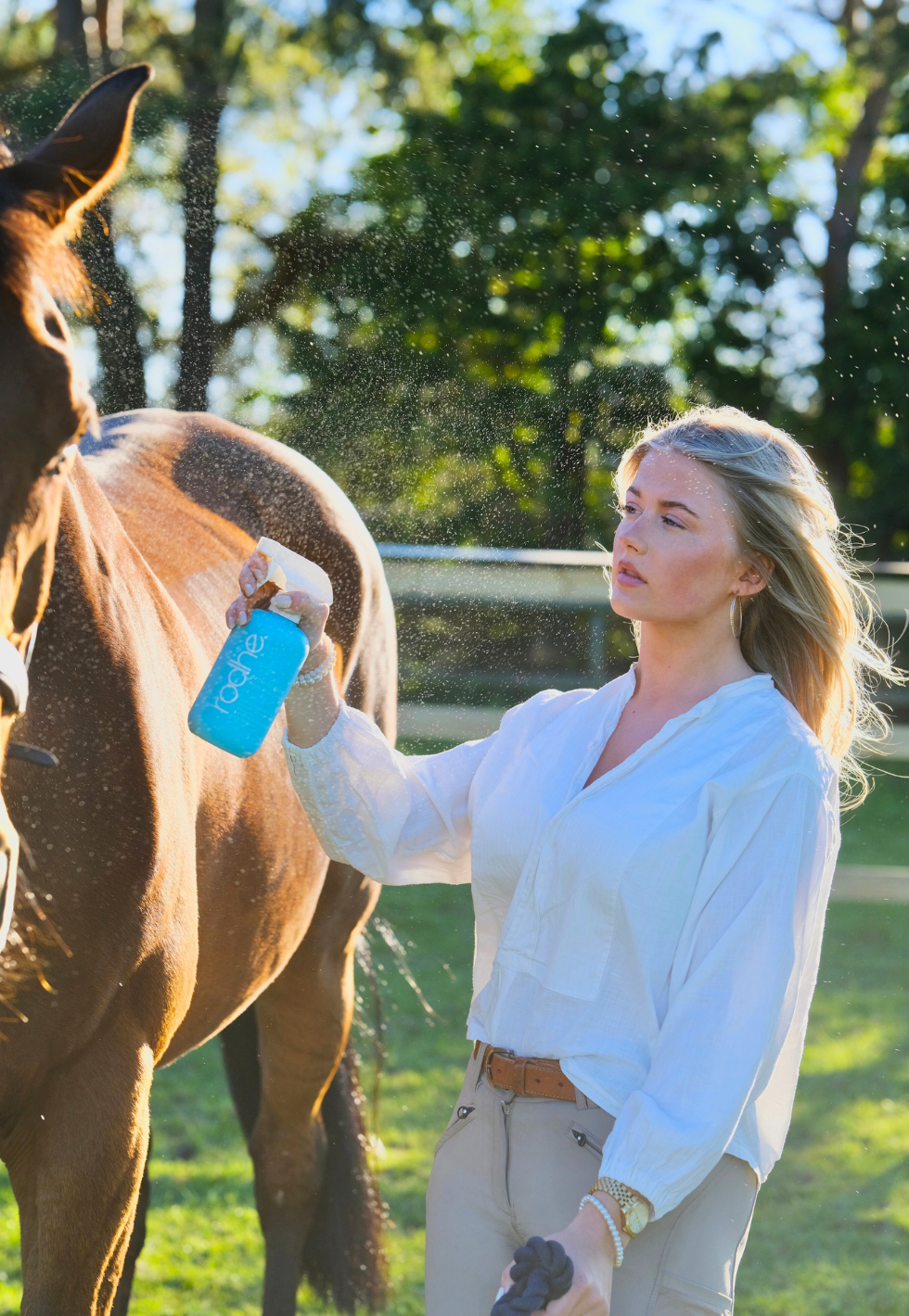 time to shine spray conditioner